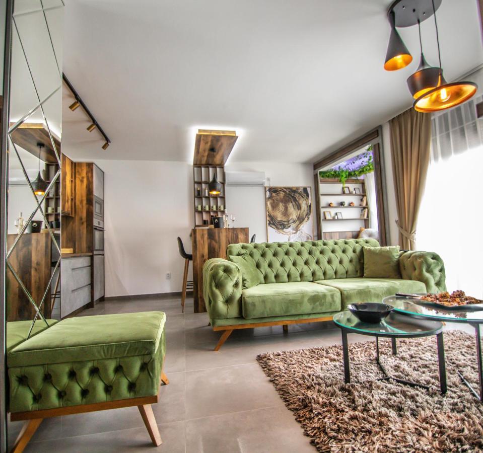 Royal Luxury Apartment Vrsac Exteriér fotografie