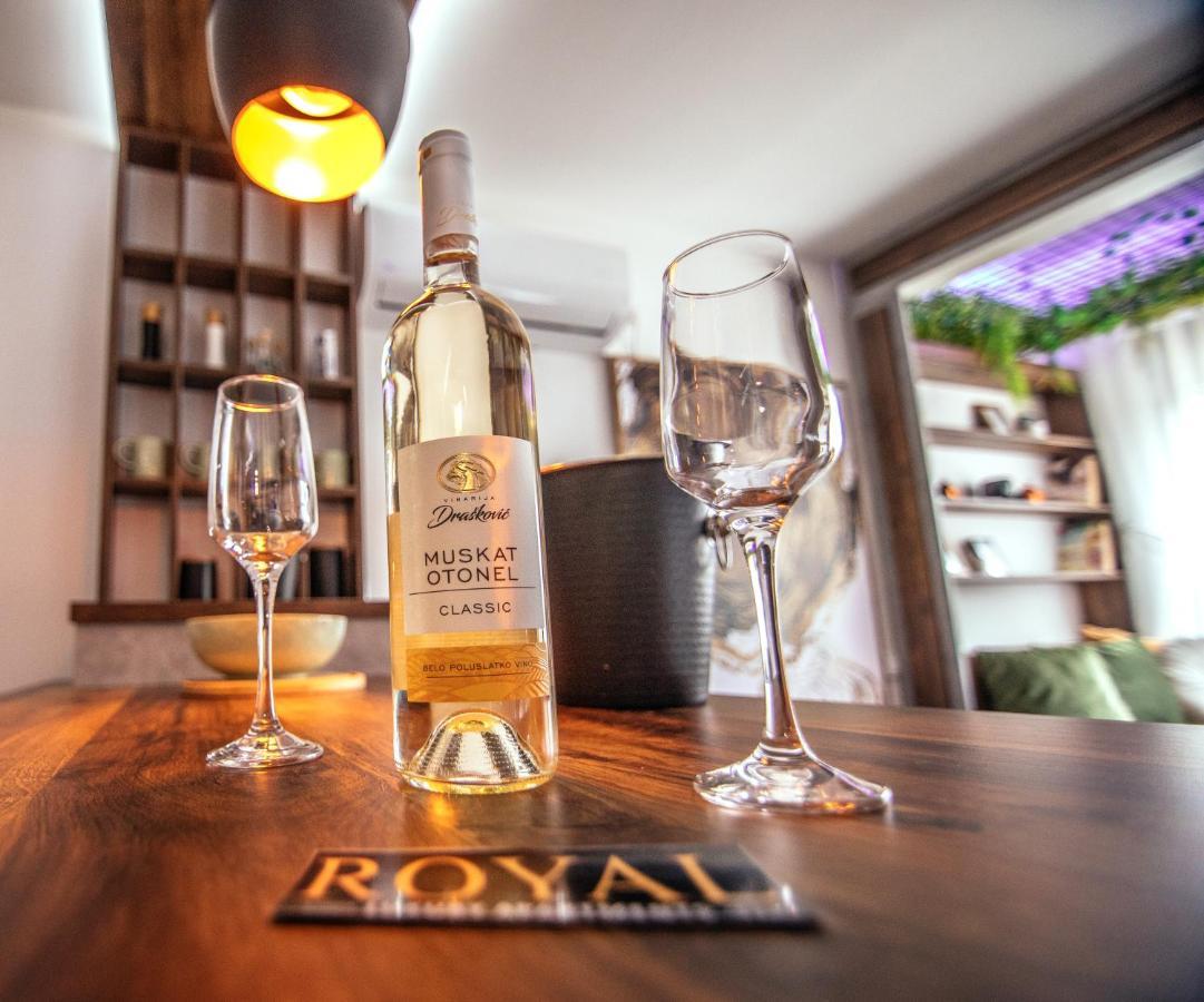 Royal Luxury Apartment Vrsac Exteriér fotografie