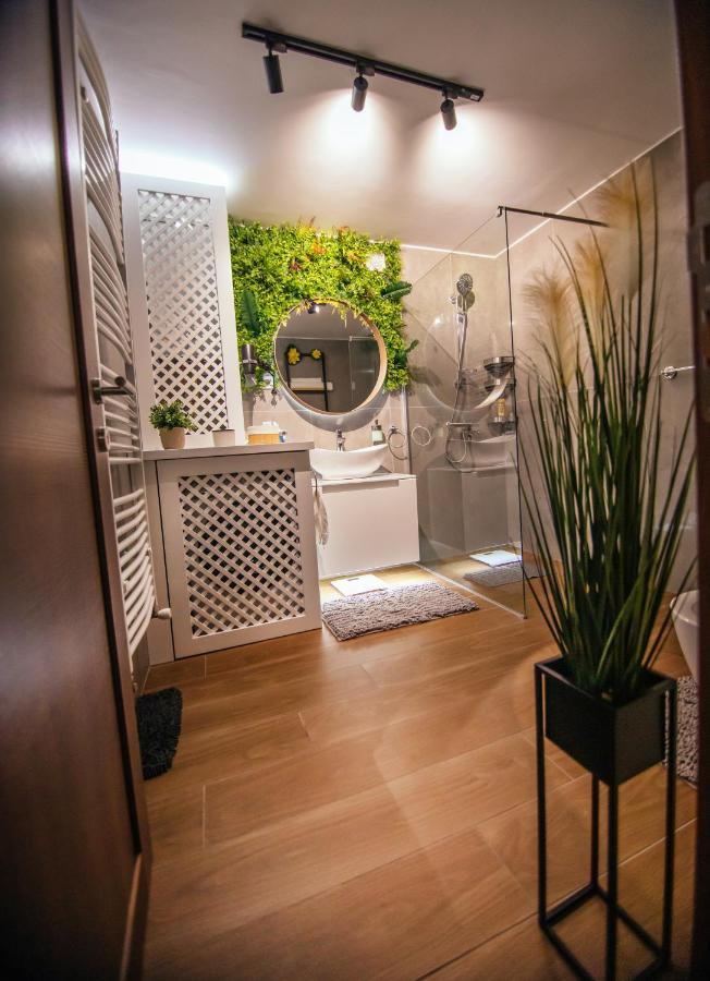 Royal Luxury Apartment Vrsac Exteriér fotografie